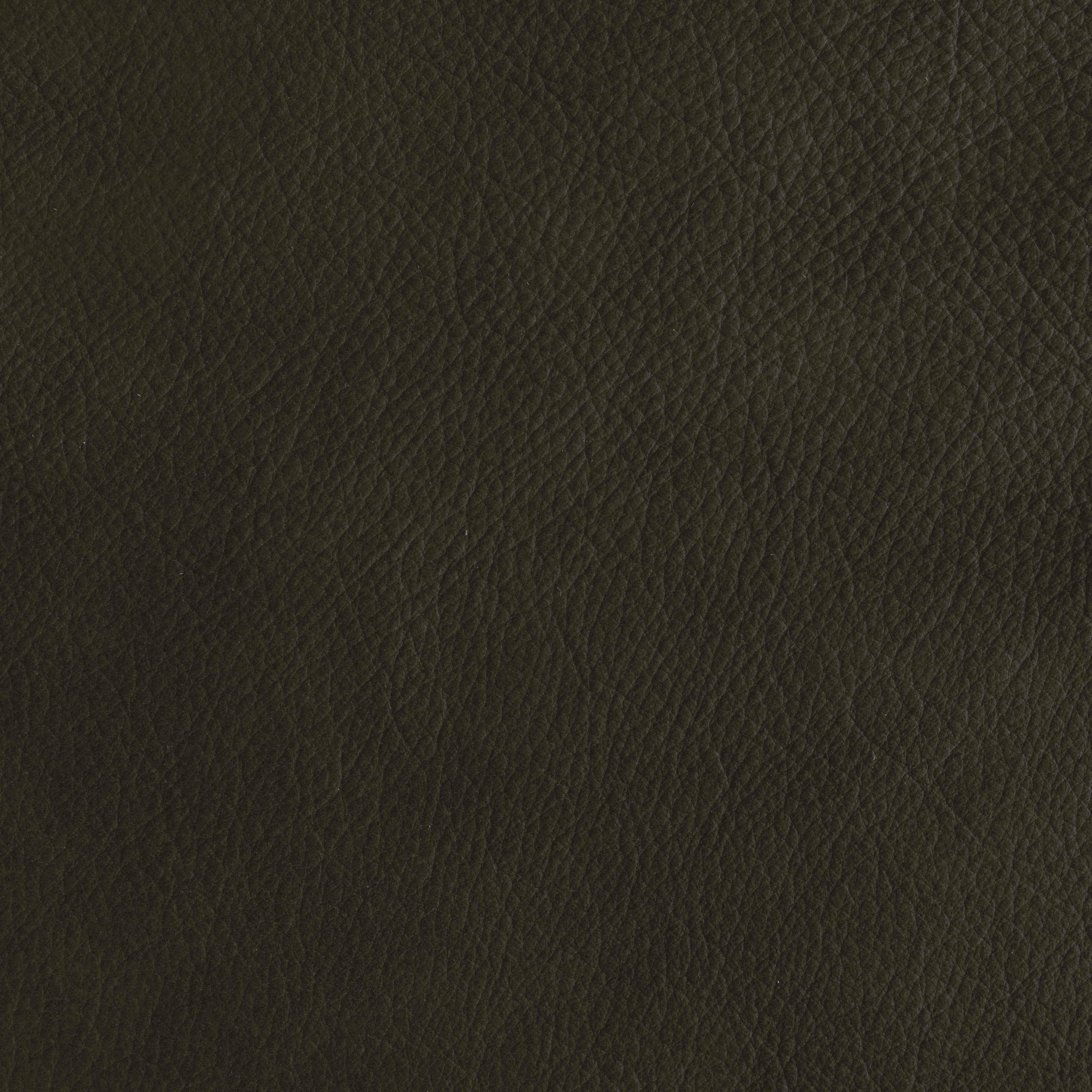 Melville - TB 10015