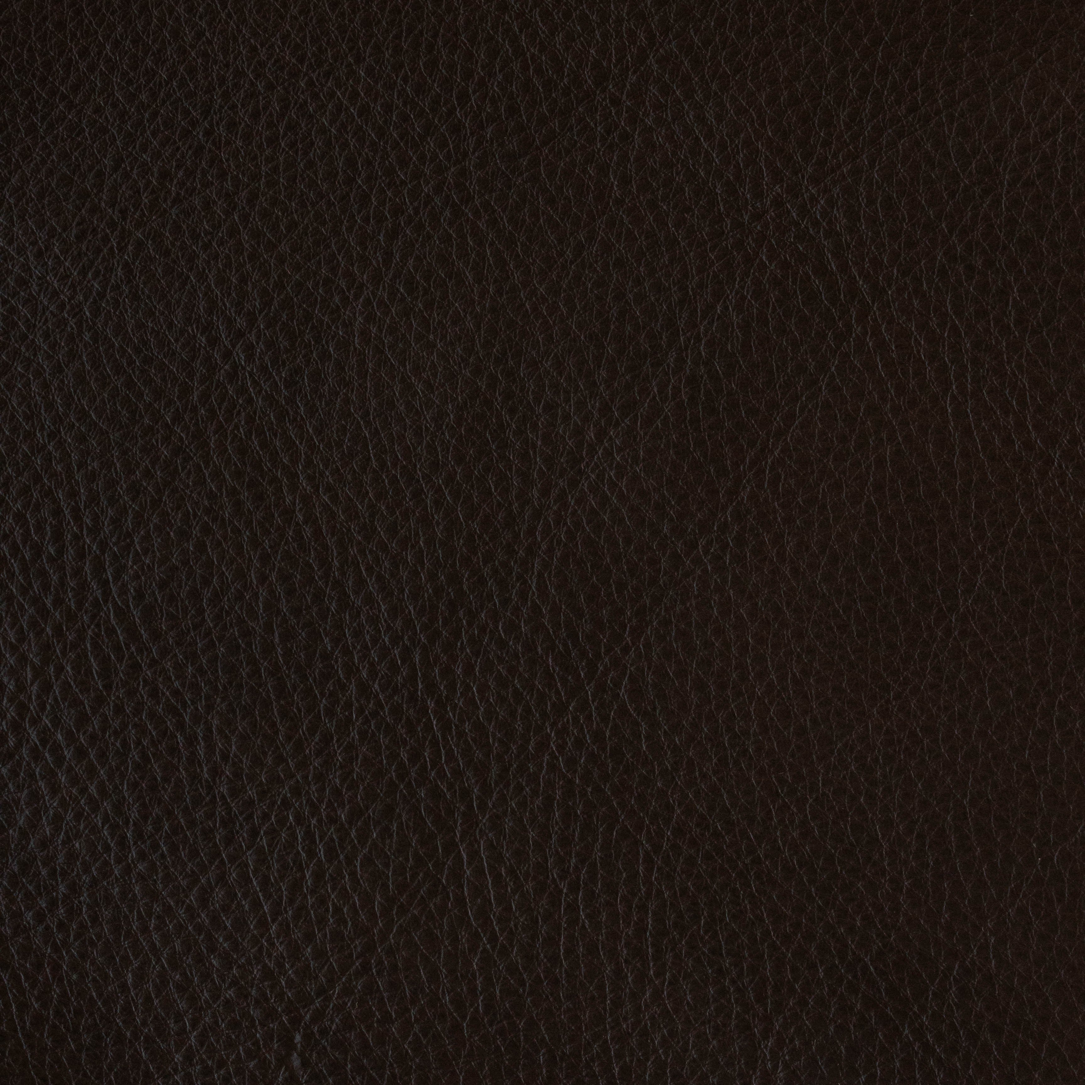 Rabun - TB 13003