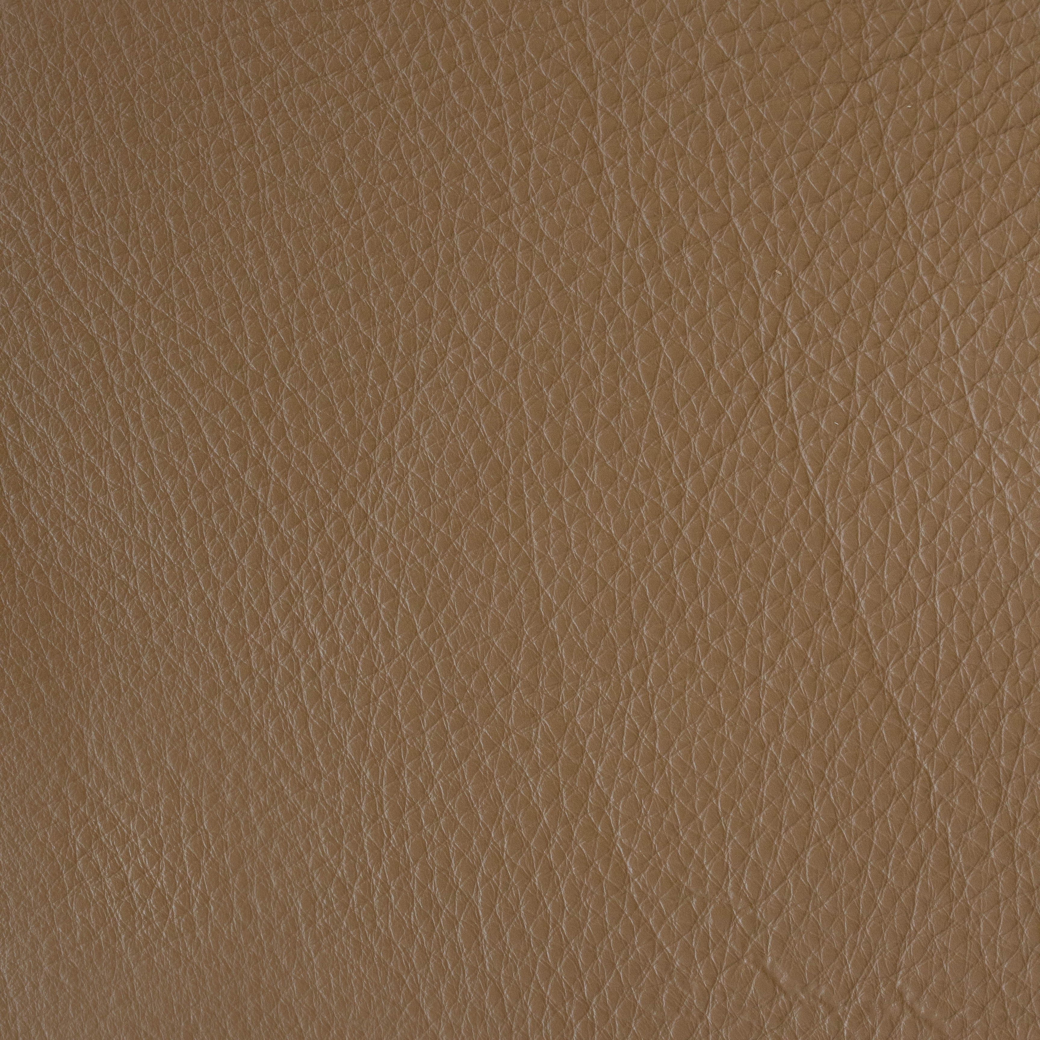 Rabun - TB 13005