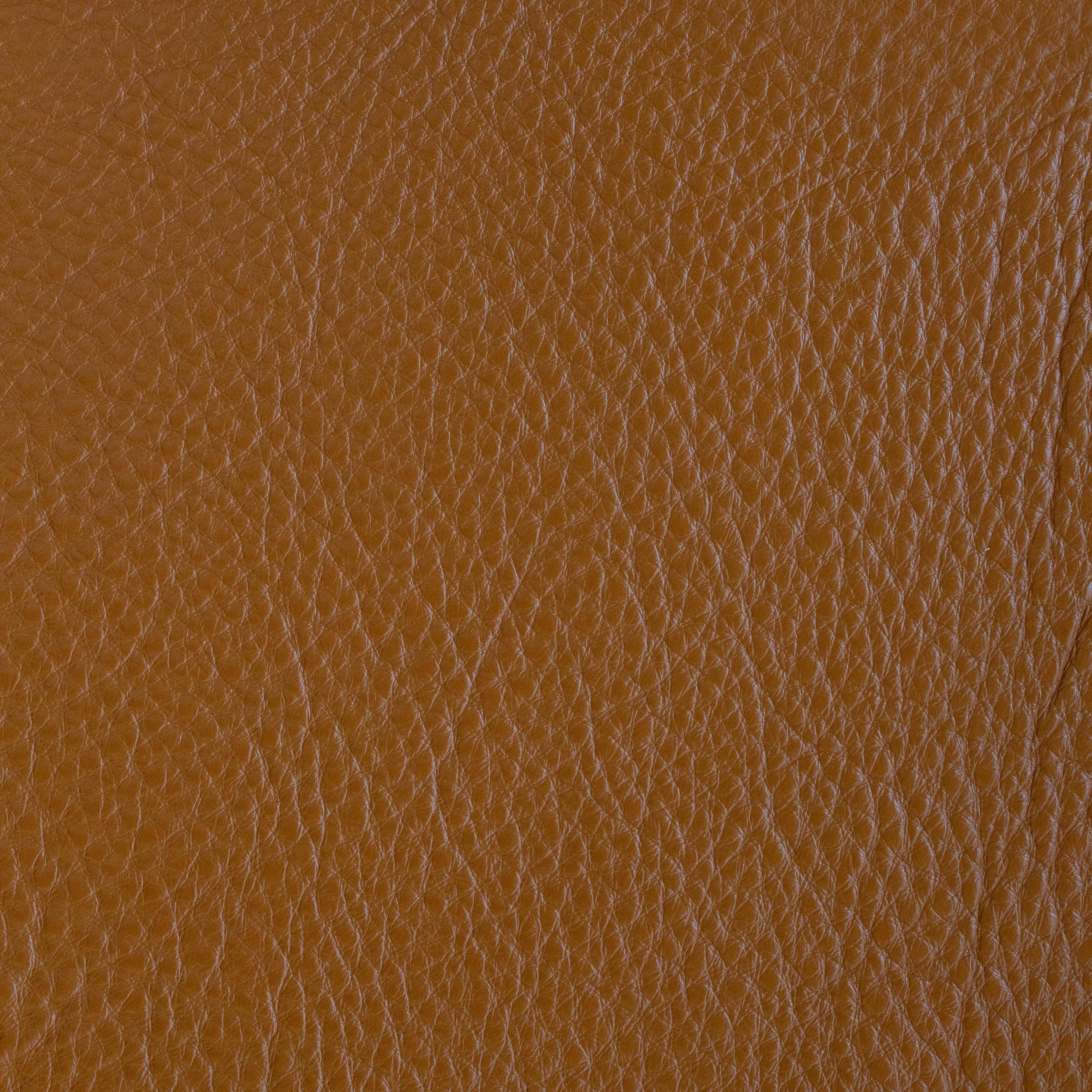 Rabun - TB 13006