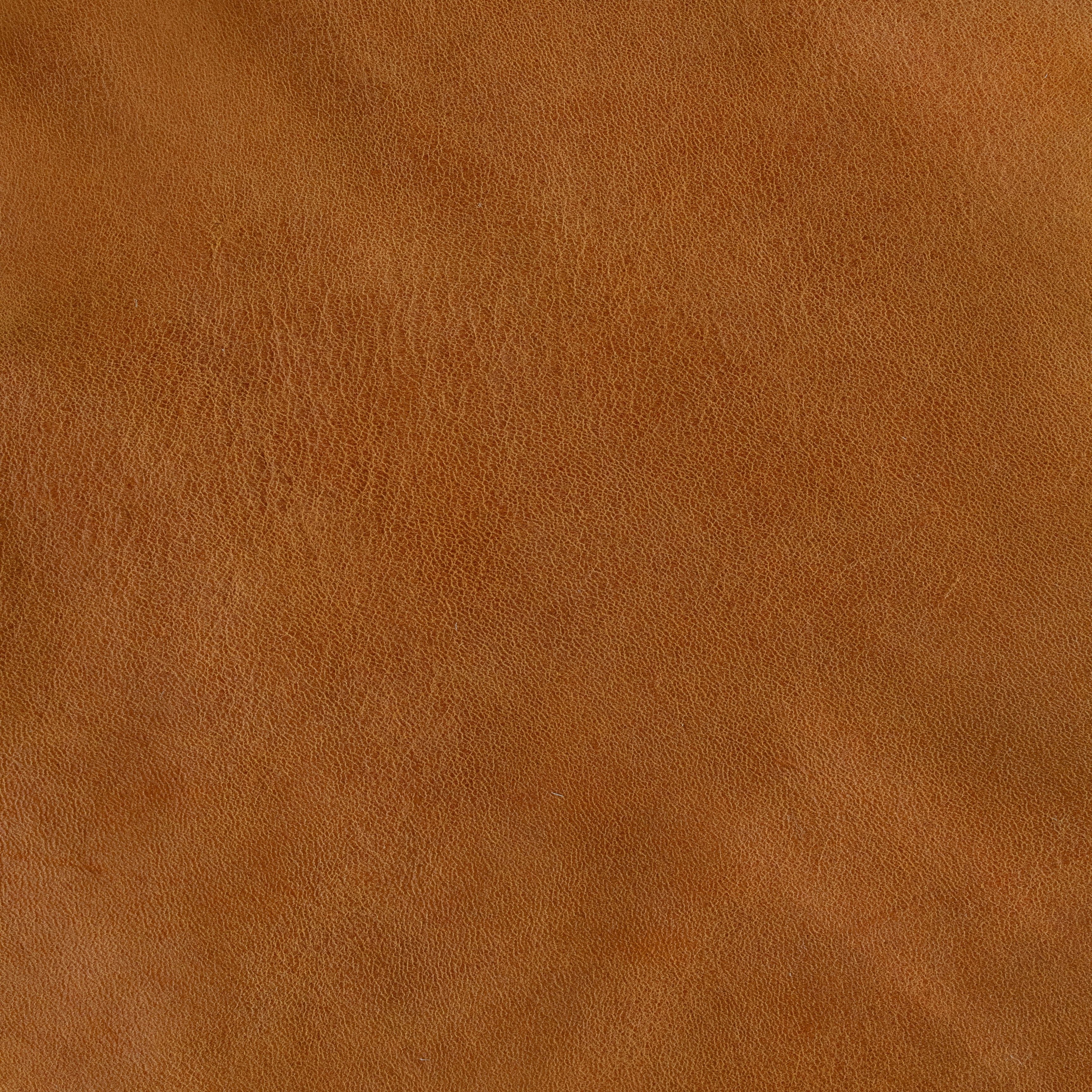 Burton - TB 33002