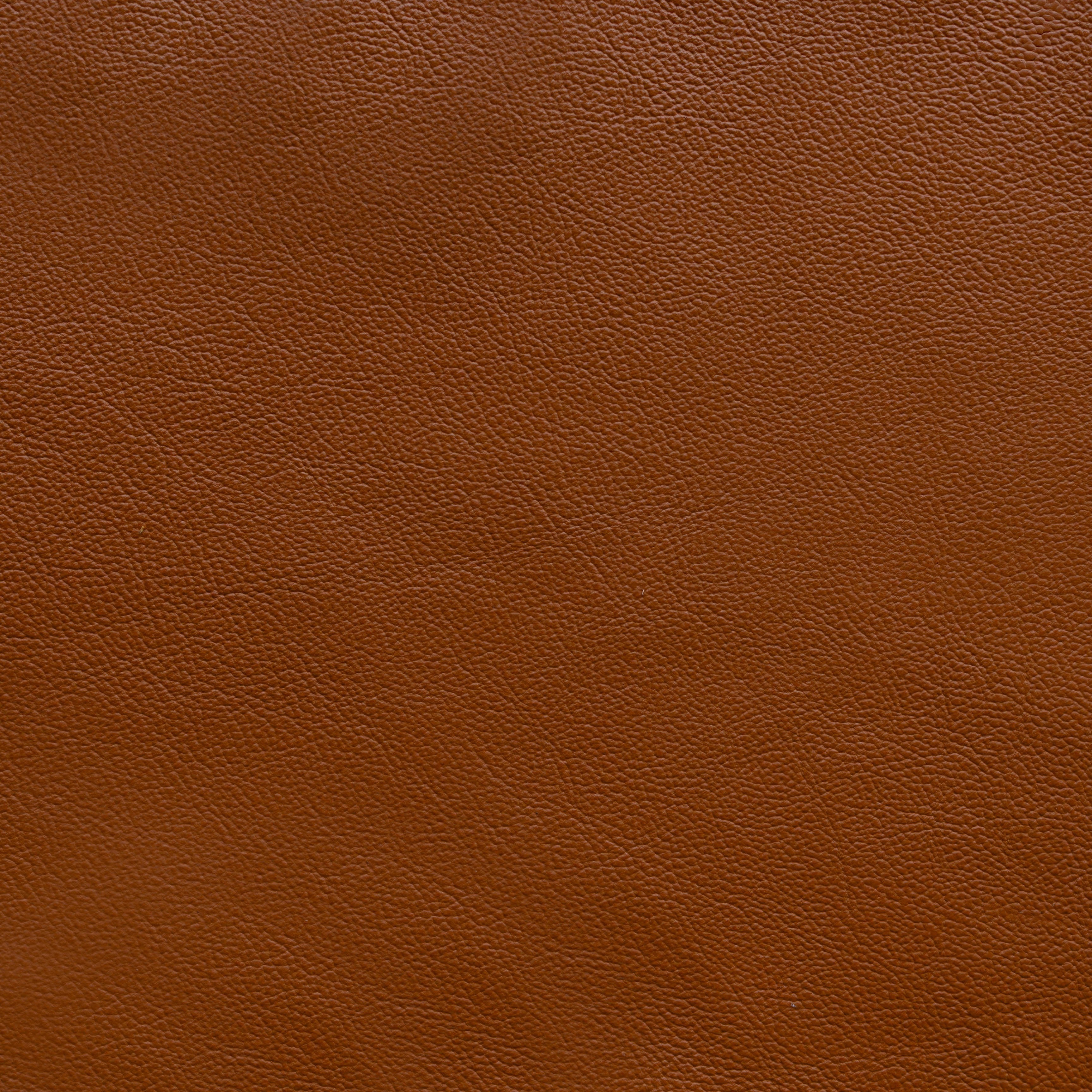 Powell - TB 5216