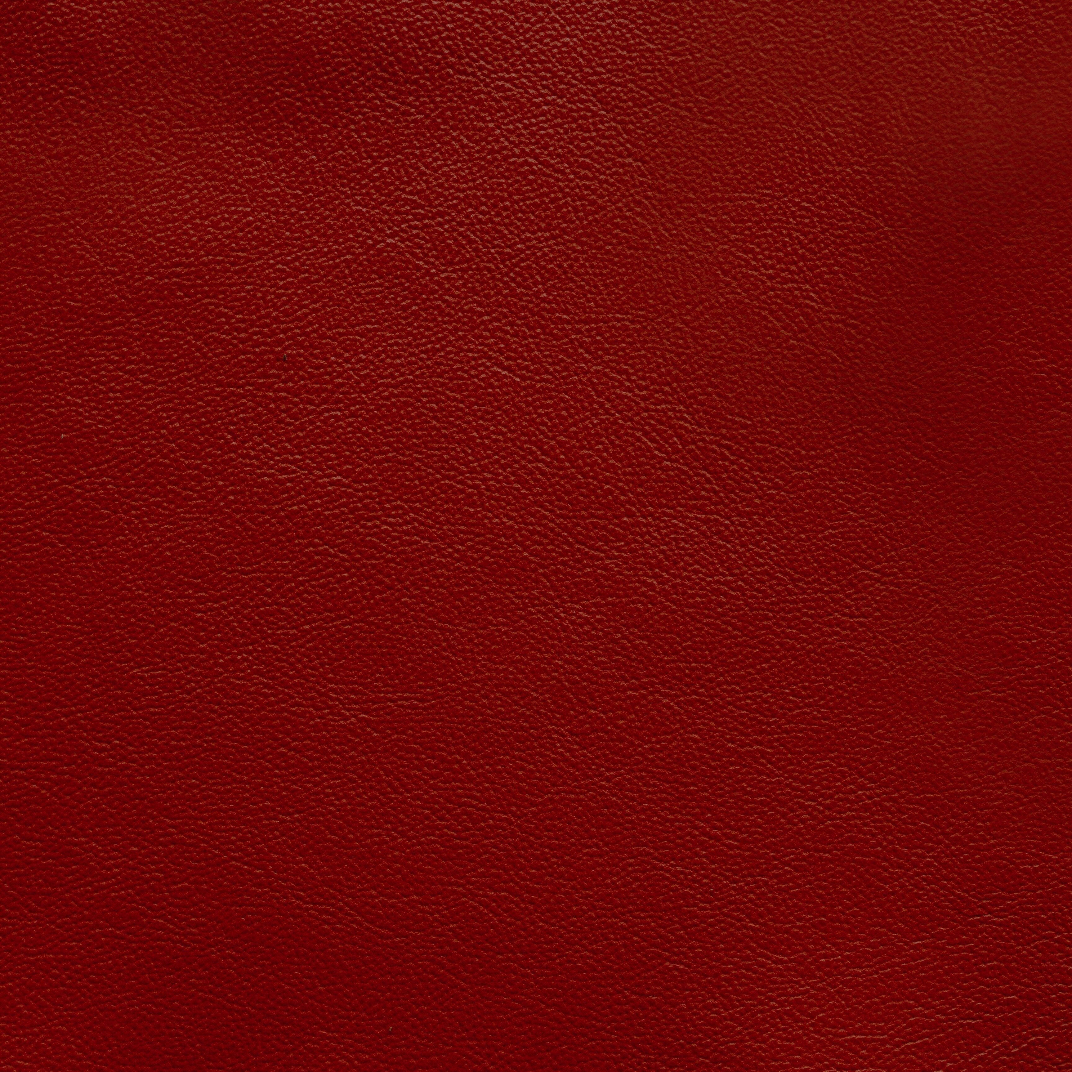 Powell - TB 5229