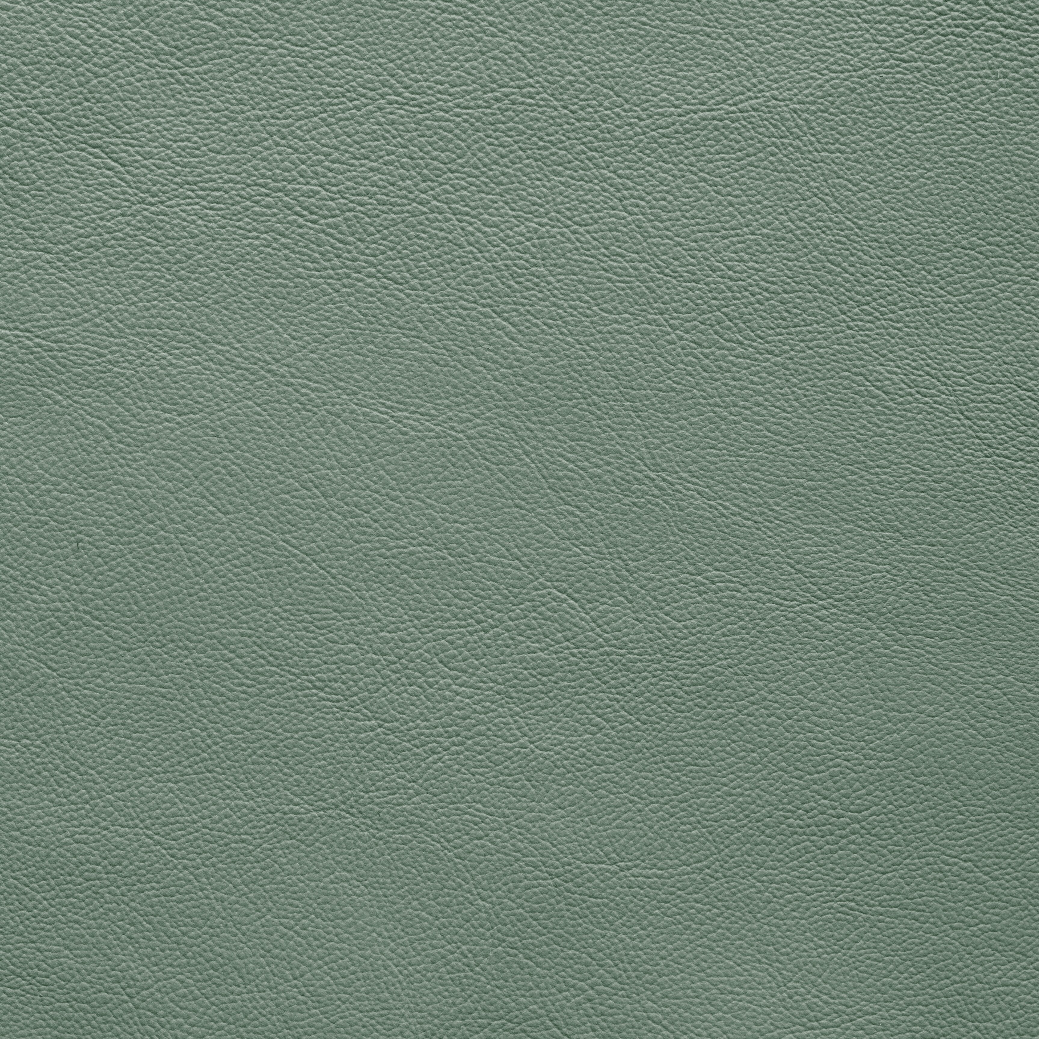 Powell - TB 5235