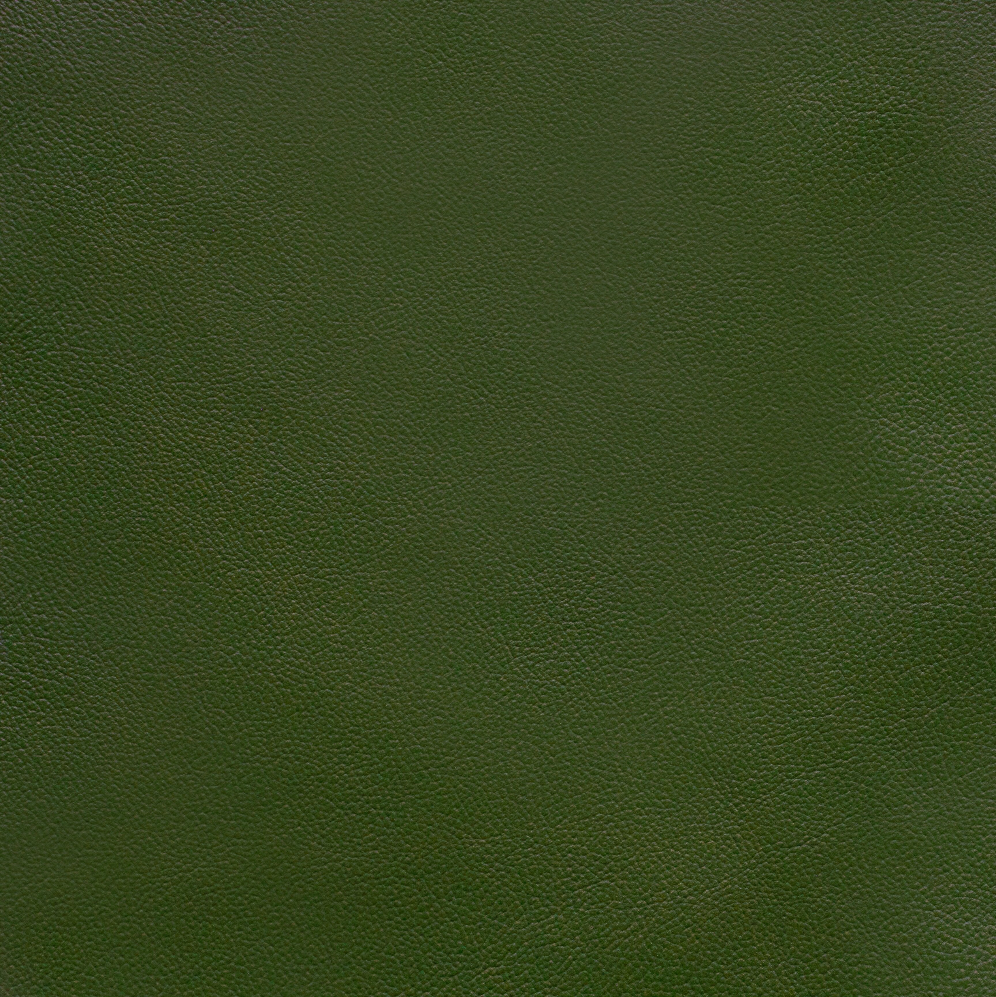 Powell - TB 5242