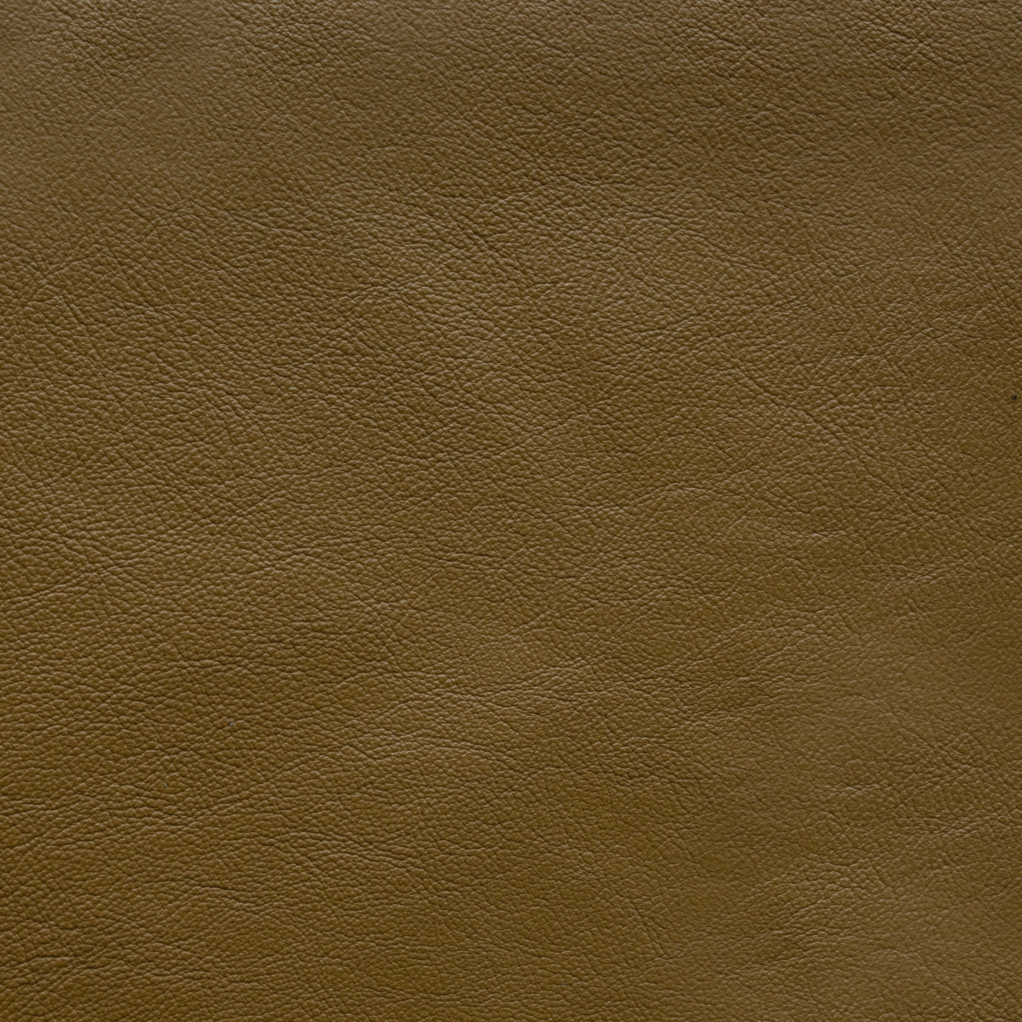 Powell - TB 5243