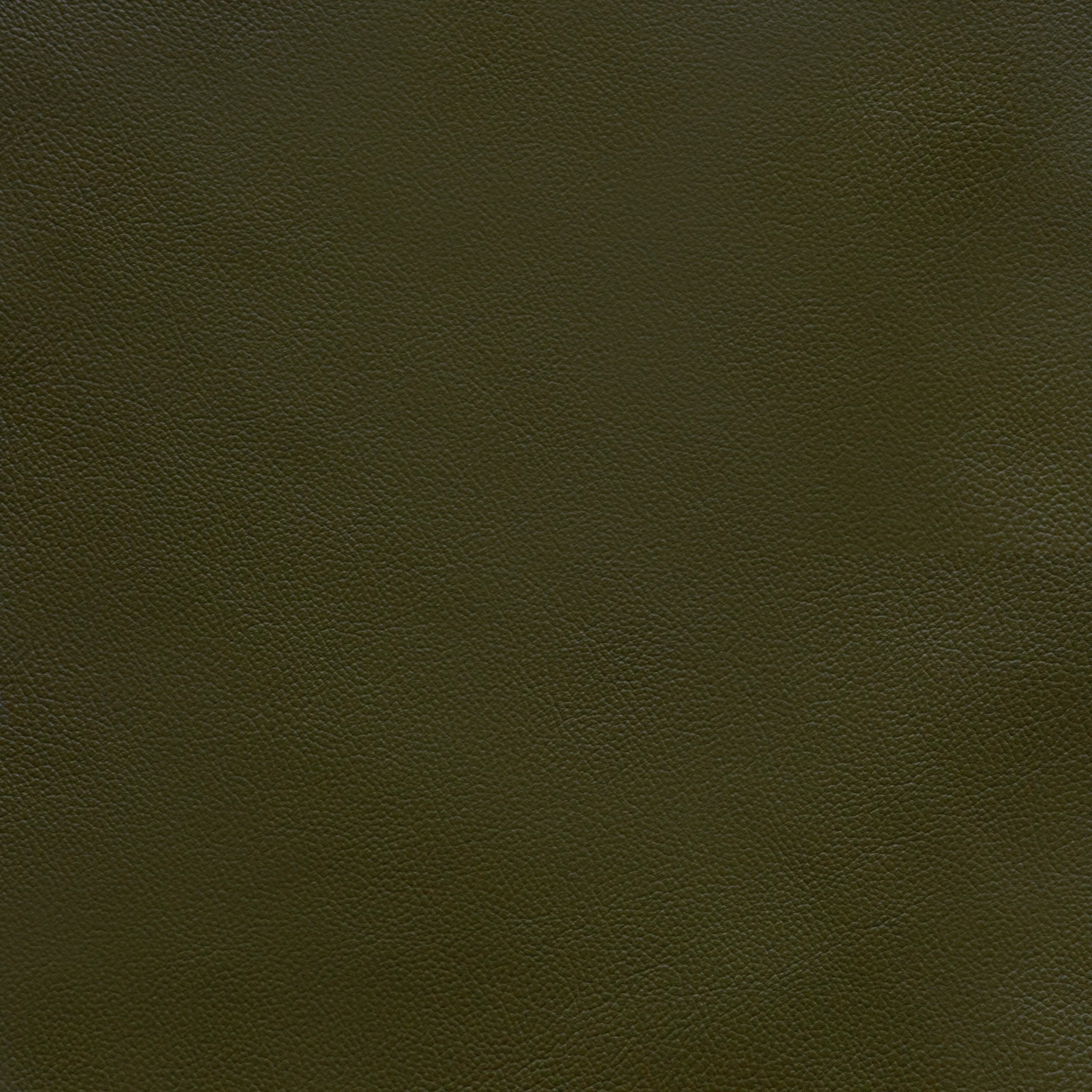 Powell - TB 5247